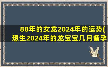 88年的女龙2024年的运势