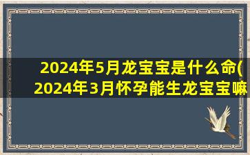 2024年5月龙宝宝是什么命