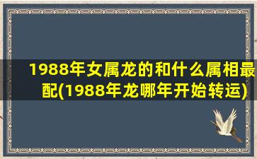 1988年女属龙的和什么属