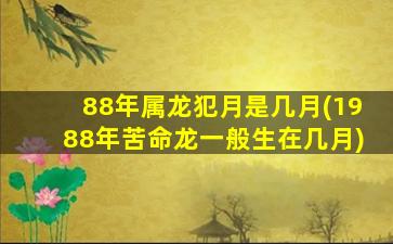 <strong>88年属龙犯月是几月(19</strong>