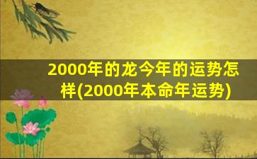 2000年的龙今年的运势怎