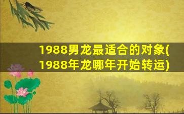 1988男龙最适合的对象(1988年龙哪年开始转运)