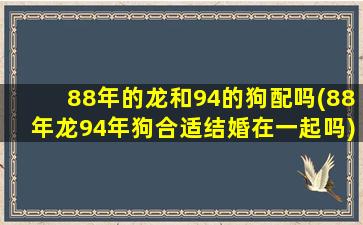 88年的龙和94的狗配吗(88年龙94年狗合适结婚在一起吗)