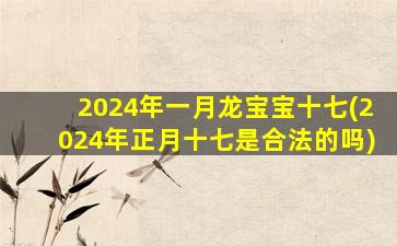 2024年一月龙宝宝十七(