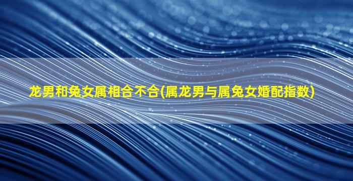 龙男和兔女属相合不合(属龙男与属兔女婚配指数)