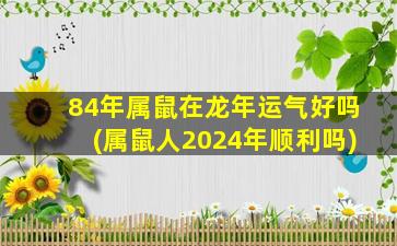 84年属鼠在龙年运气好吗(属鼠人2024年顺利吗)