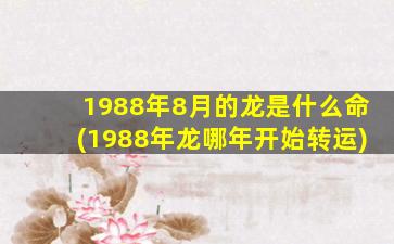 1988年8月的龙是什么命(1988年龙哪年开始转运)