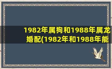 1982年属狗和1988年属龙婚