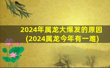 2024年属龙大爆发的原因