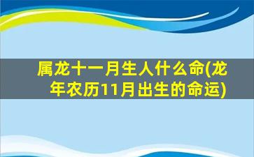 属龙十一月生人什么命(龙年农历11月出生的命运)