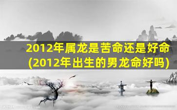 2012年属龙是苦命还是好命(2012年出生的男龙命好吗)