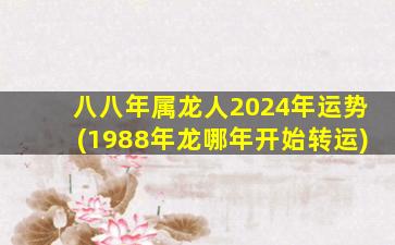 八八年属龙人2024年运势