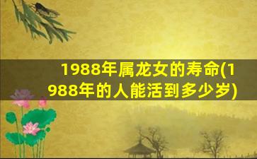 1988年属龙女的寿命(1988年的人能活到多少岁)