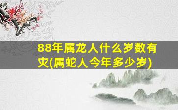 88年属龙人什么岁数有灾(属蛇人今年多少岁)