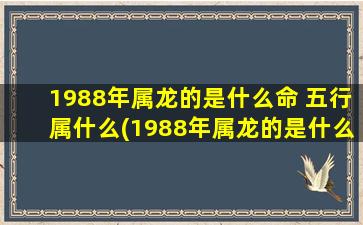 1988年属龙的是什么命 五行属什么(1988年属龙的是什么命五行属什么可以纹眉吗)