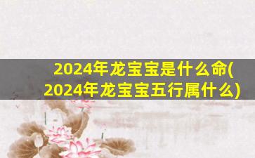 2024年龙宝宝是什么命(