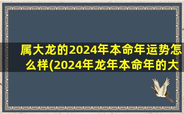 属大龙的2024年本命年运