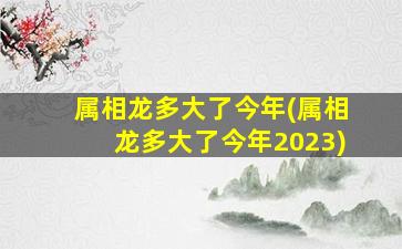 属相龙多大了今年(属相