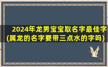 2024年龙男宝宝取名字最佳字(属龙的名字要带三点水的字吗)