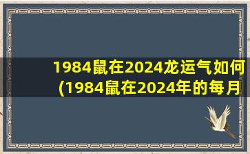 1984鼠在2024龙运气如何(1984鼠在2024年的每月运势如何)