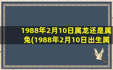 1988年2月10日属龙还是属