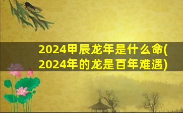 2024甲辰龙年是什么命(2024年的龙是百年难遇)