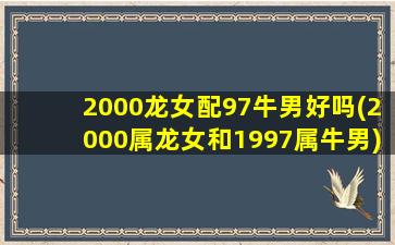 2000龙女配97牛男好吗(2