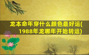 龙本命年穿什么颜色最好运(1988年龙哪年开始转运)