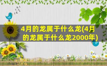 4月的龙属于什么龙(4月的