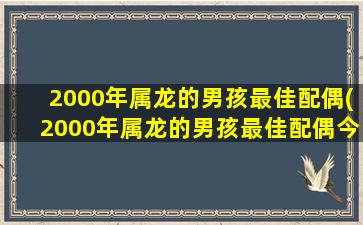 2000年属龙的男孩最佳配