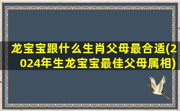 龙宝宝跟什么生肖父母最合适(2024年生龙宝宝最佳父母属相)