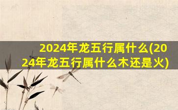 2024年龙五行属什么(2024年龙五行属什么木还是火)