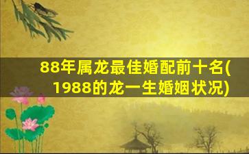 88年属龙最佳婚配前十名(1988的龙一生婚姻状况)