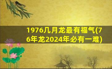 1976几月龙最有福气(76年