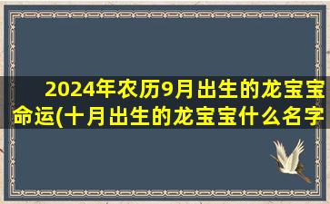 2024年农历9月出生的龙宝宝命运(十月出生的龙宝宝什么名字)