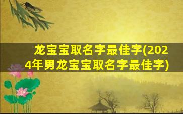 龙宝宝取名字最佳字(2024年男龙宝宝取名字最佳字)