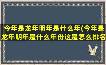 今年是龙年明年是什么年