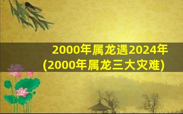 2000年属龙遇2024年(2000年