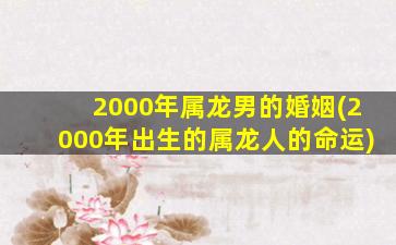 2000年属龙男的婚姻(200