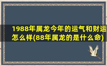 1988年属龙今年的运气和财