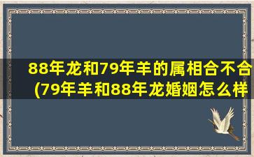 88年龙和79年羊的属相合