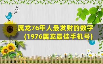 属龙76年人最发财的数字