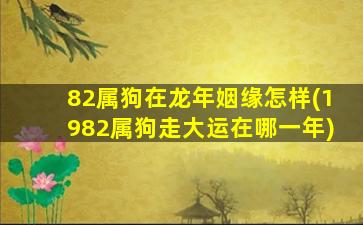 82属狗在龙年姻缘怎样