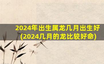 2024年出生属龙几月出生