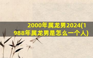 2000年属龙男2024(1988年属龙男是怎么一个人)