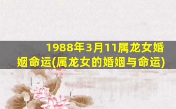 1988年3月11属龙女婚姻命运(属龙女的婚姻与命运)