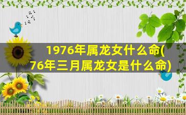 1976年属龙女什么命(76年