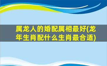 属龙人的婚配属相最好(龙年生肖配什么生肖最合适)