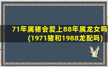 71年属猪会爱上88年属龙女吗(1971猪和1988龙配吗)