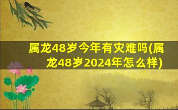 属龙48岁今年有灾难吗(属龙48岁2024年怎么样)